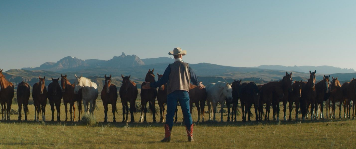 Người Hùng Cao Bồi Của Tôi - My Heroes Were Cowboys