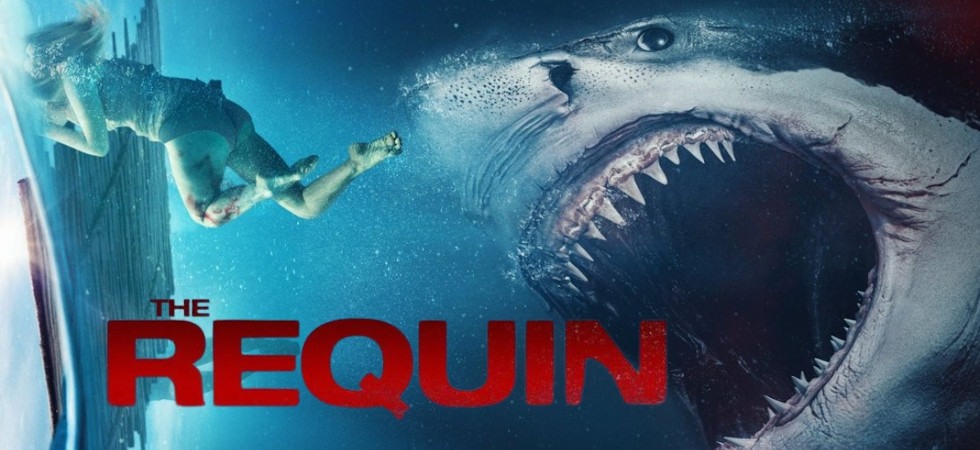 Chơi Vơi Giữa Biển Khơi - The Requin